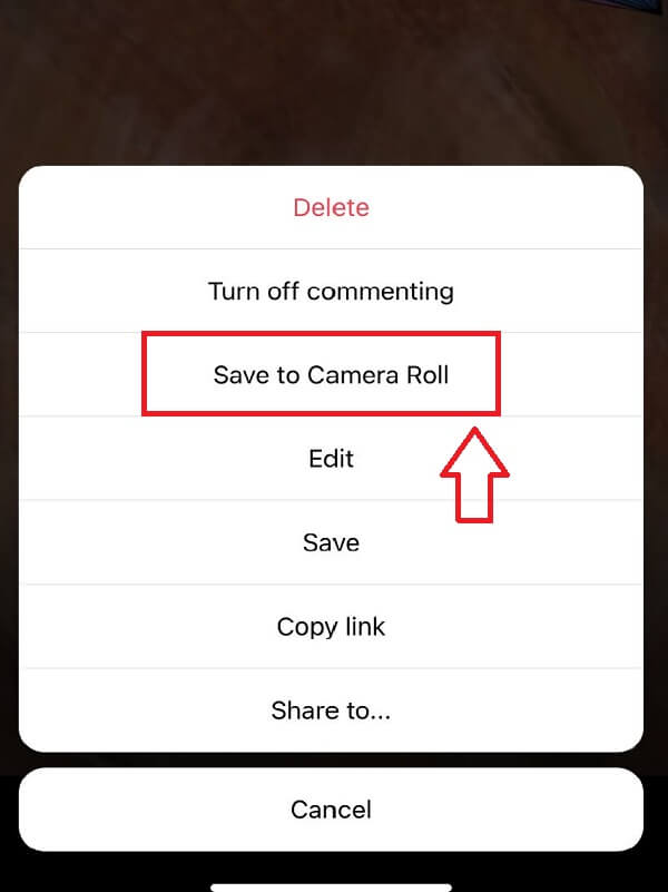 save instagram reels to camera roll