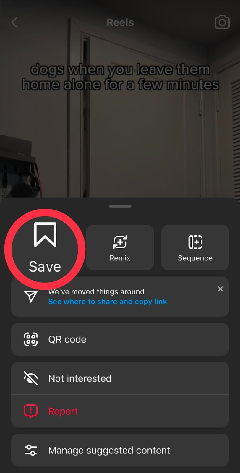 save instagram reels to camera roll